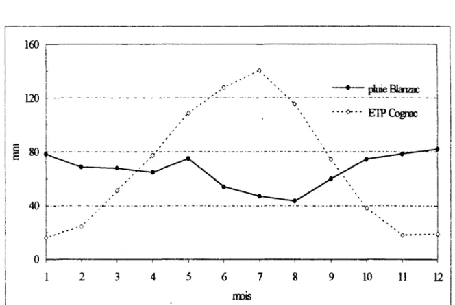 Figure 4.2 Pluviométrie et ETP moyennes sur le bassin du Ruiné  4 .2 Les  d o n n é e s  h y d r o l o g i q u e s 