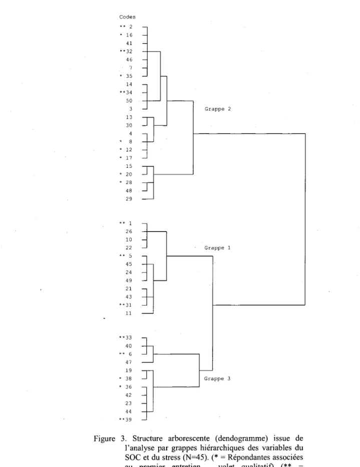 Figure 3. Structure arborescente (dendogramme) issue de