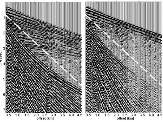 Figure 1.1: Land seismic shot gathers: radial (left) and vertical (right) components. Surface waves are below the white dashed line.