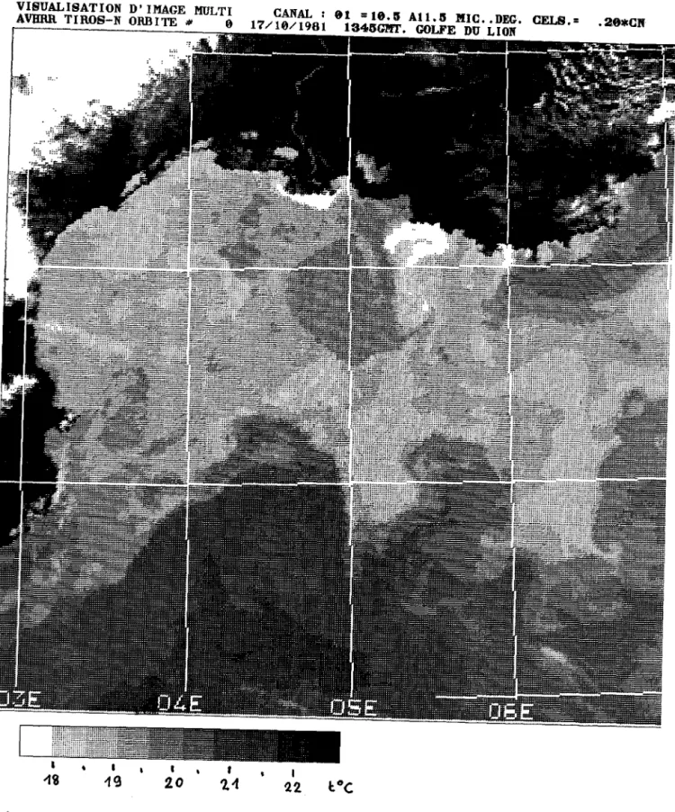 Figure  II.1  :  Thermographie  AVHRR  -NOAA  7- du  17  octobre  1981.  Les  basses  températures  sont  représentées  en  clair