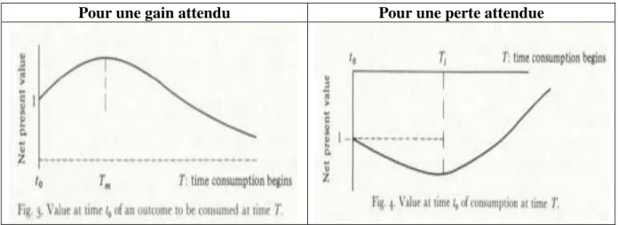 Figure 2.1 : Représentation de l’évolution de la valeur actuelle nette d’une  consommation future 
