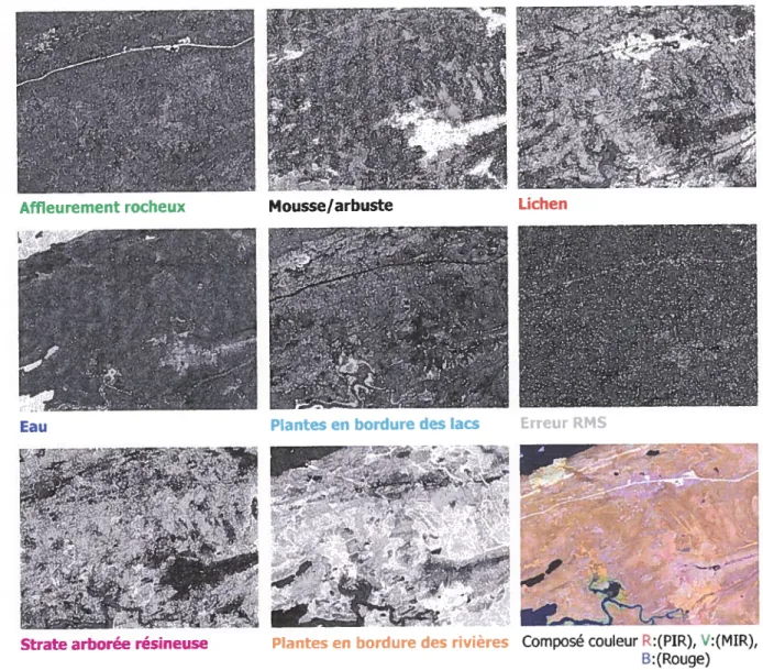 Figure 4: Extrait des résultats du démixage spectrale linéaire