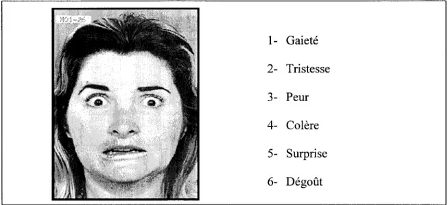 Figure 1. Exemple d'un visage exprimant la peur avec les six choix d'emotions 