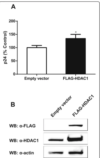 Fig. 4 HDAC1 overexpression increases HIV-1 replication. a HeLa- HeLa-CD4-LTR- β-gal cells were transfected with the pFLAG-HDAC1 expression vector or the pBact-FLAG empty vector (375 ng) and 48 h later infected with HIV-1 NL4 –3 virions (10 ng p24 per 8 × 
