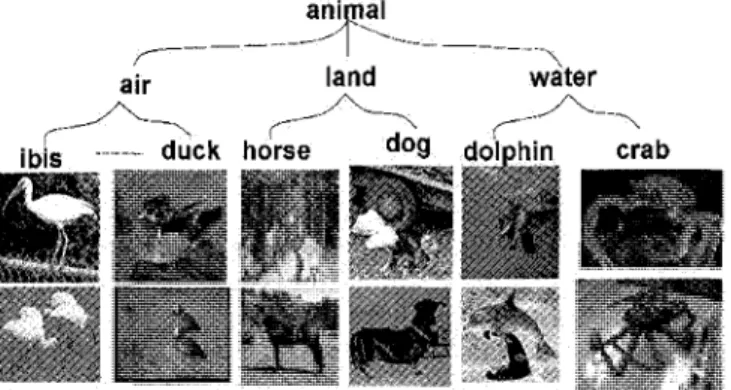 Figure 1: Hierarchical data structure 