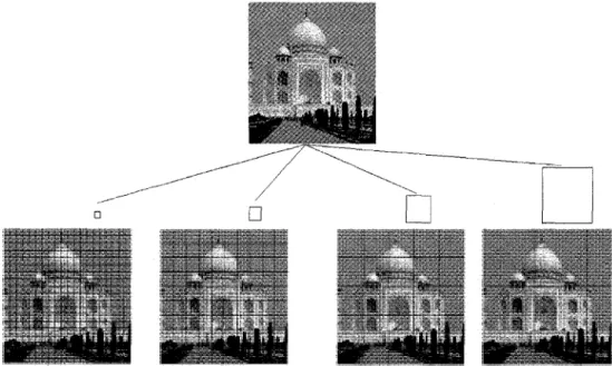 Figure 6: Square-based puzzle series with different square widths 