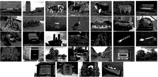 Figure 10: Examples of images from the collection 