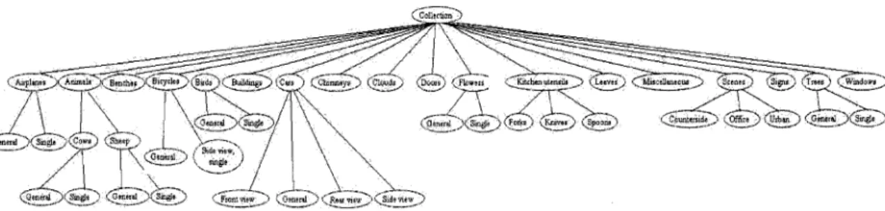Figure 11: The hierarchical structure of the collection 