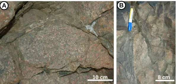 Figure 6 – Pervasive and intense albitization of the Laski village outcrop. Secant fractures are delimiting  the blocks which are massively albitized (red coloration)