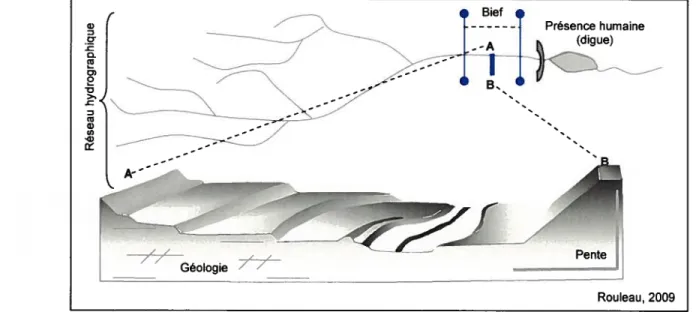 Figure 3 - Le milieu fluvial selon les concepts de la potamologie