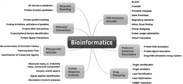 Figure  1.1  Domaines de la  bio-informatique  et outils associés.  Source  (Mehmood 