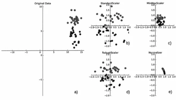 Figure 2.2  Différentes techniques de pré-traitement et de redimensionnement d ' un 