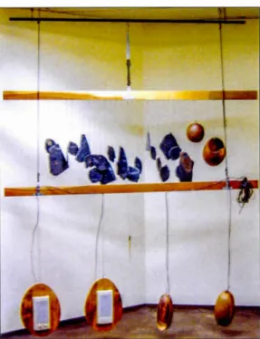 Figure 5.1 - C h ant  des  ardo i ses,  2006. 