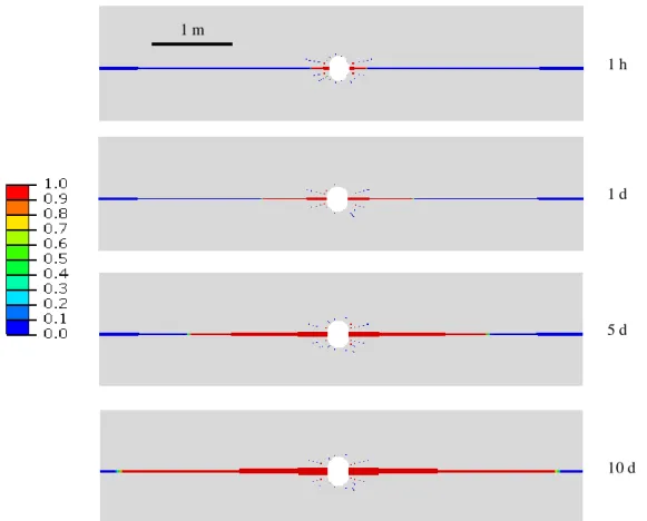 Figure 3.21  Contour plots of damage variable D at different times (when S h  = 12 MPa)