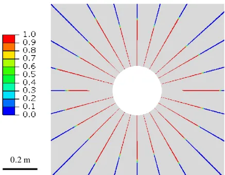 Figure 3.23  Contour plot of damage variable D at time t = 10 d for the isotropic stress case S h  = S H  = 