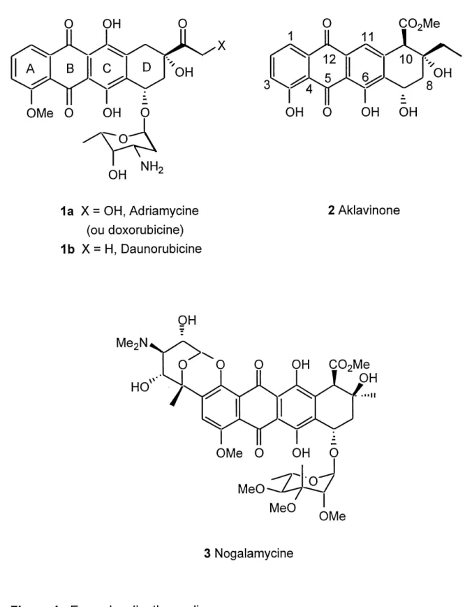 Figure 1. Exemples d'anthracyclines