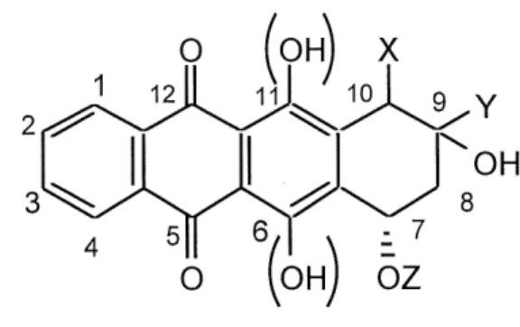 Figure 4. Squelette d'anthracyclines visees.