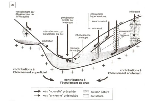 Fig. 1 – Principaux processus de genèse de débits dans les versants et âge des eaux concernées (d’après [Ambroise, 1999])