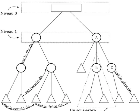 Figure 3. Illustration du vocabulaire relatif aux arbres.