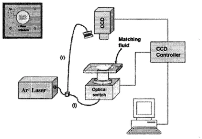 Figure 2.7.2 Ntziachristos et al : Systeme CW dans le domaine visible [Zacharakis et coll.,  2005] 