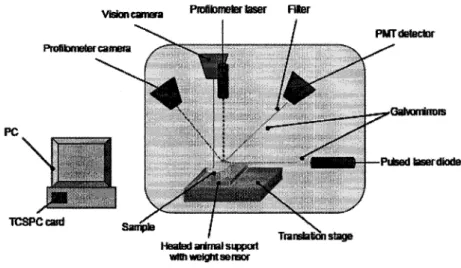 Figure 2.7.6 Systeme d'imagerie optique developpe chez ART [ART Advanced Research  Technologies Inc., 2004] 