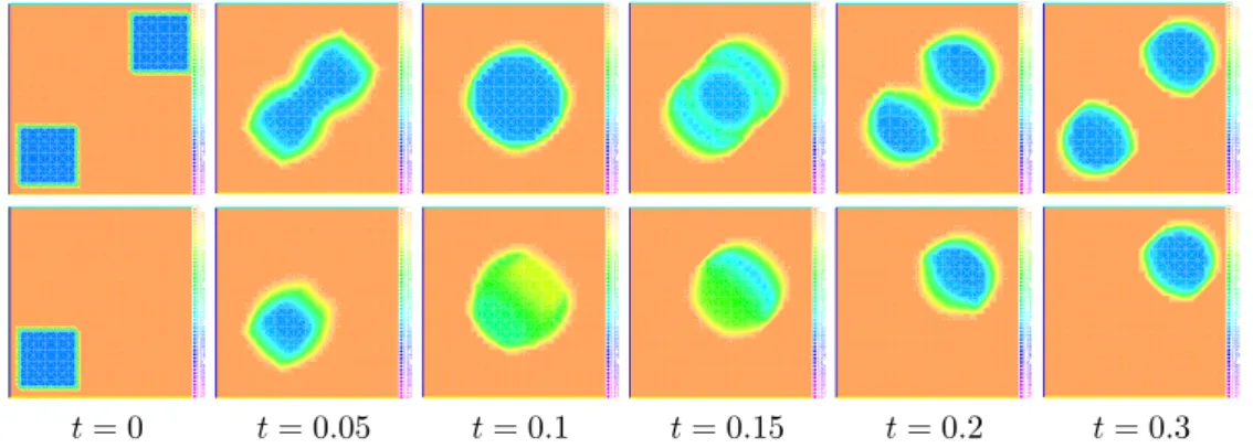 Figure 6.1: Evolution of two species crossing each other with porous media congestion, m = 50.