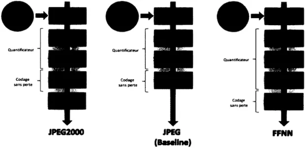 Figure  1.2 - Traitement d'image effectué par les trois CODEC