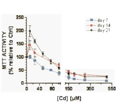 Figure 1. 1 : Variation de l'activité MTT en fonction de concentrations de Cd dans des cellules  Caco-2 au jour 7, 14 ou 21  à  la suite d' une exposition de 24 heures (figure tirée de Mantha et  Jumarie 2010) 