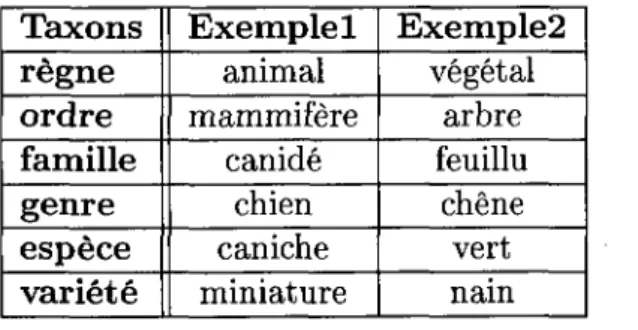 TABLEAU 2.1 - Exemples de la classification internationale 
