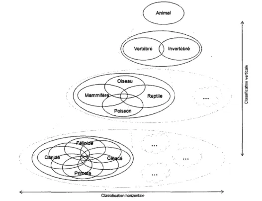 Figure 2.2 - Exemple de pyramide de classification ouverte 