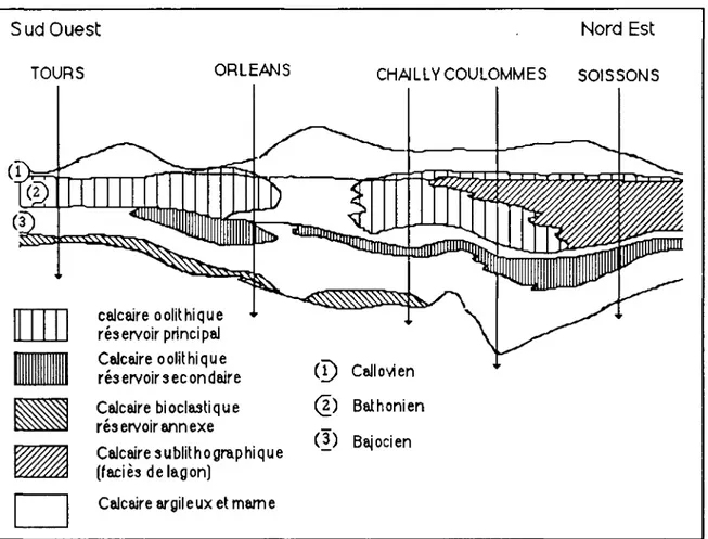 Figure 4.3. : Coupe schématique verticale dans le Dogger du Bassin de Paris  (d'après House et Maget, 1976; Maget, 1983; Matray, 1988) 