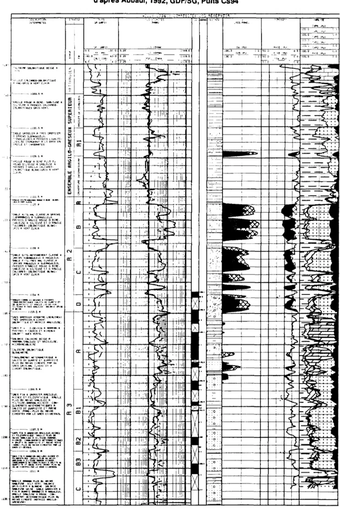 Figure 4.5. : Log synthétique du réservoir de CHEMERY  d'après Abbadi, 1992, GDF/SG, Puits Cs94 
