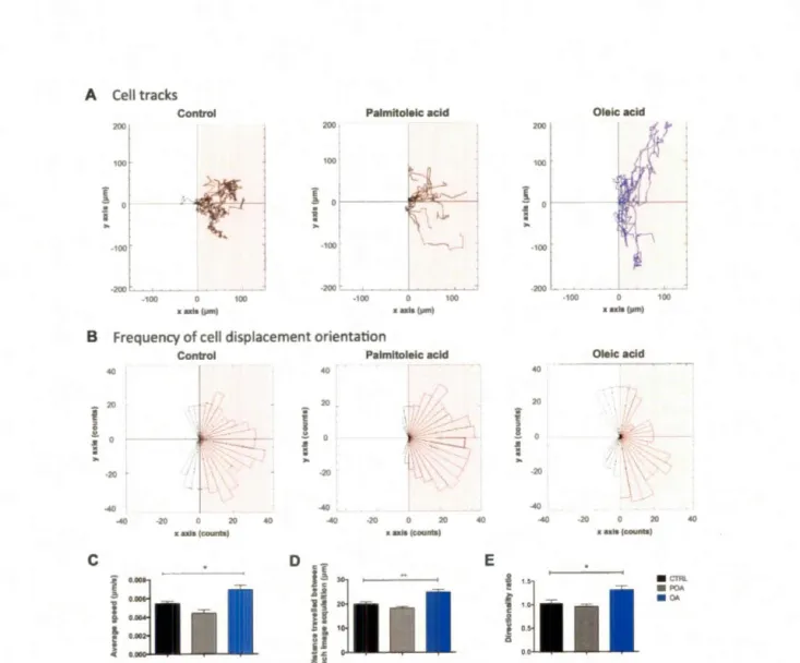 Figure  3.3.  Oleic  acid  increases  MDA-MB-231  triple-negative  breast  cancer  cell  migration speed and directionality