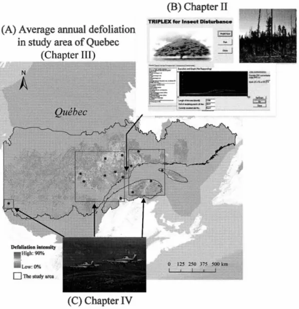 Figure  1.  3.  Study  area  for  each of the  chapters.  The  figure  introductions  are  as  follows:  (A), Average annual defoliation in study area ofQuebec from 2007-2017;  (B) ,  the  model  interface  and  the  image  of defoliated  forest  (from  ht