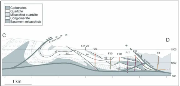 Figure 2.19) cette structuration est très peu visible. Elle est reconnaissable au NE dans les zones de plus haute altitude, autour des lacs du "Plan d’Amon" et "Plan d’Aval"