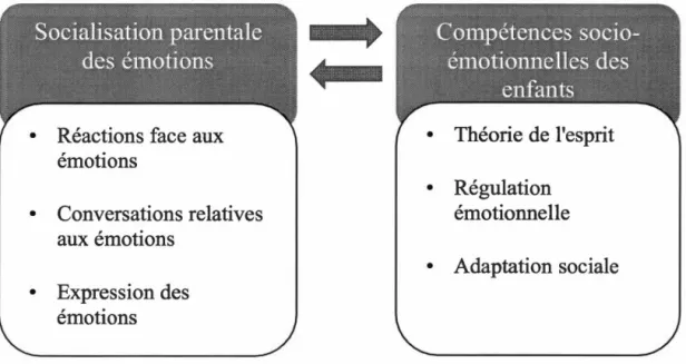 Figure  1.1  Influence  de  la  socialisation  parentale  des  émotions  sur  le  développement des compétences socio-émotionnelles des enfants
