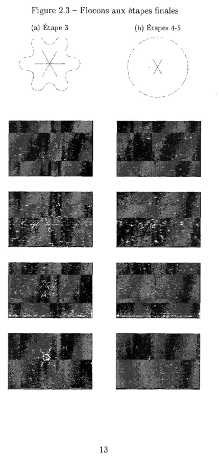 Figure 2.3 - Flocons aux étapes finales  (a) Étape 3 (b) Étapes 4-5 