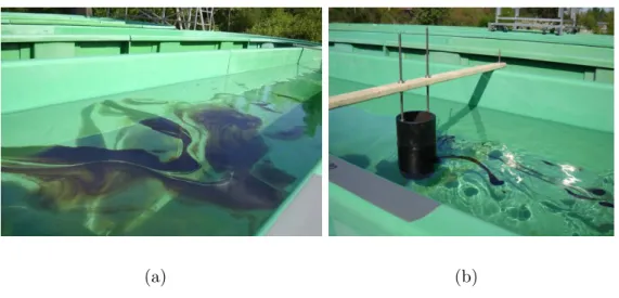 Figure 5.11: Observation de la nappe d’hydrocarbures ` a la surface de la rivi` ere artificielle, sans obstacle (a) et avec obstacles (b)