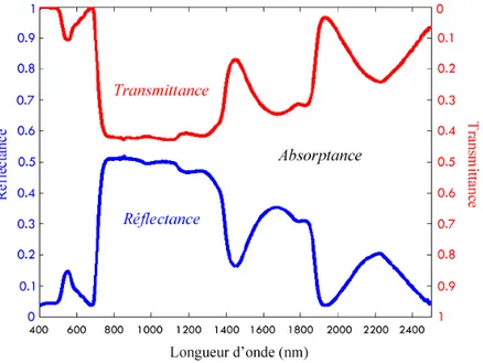 Figure  I.15  Spectres de réflectance et de transmittance d’une feuille fraîche de trèfle des prés  (Trifolium pratense) (d’après Jacquemoud et al., 2009)