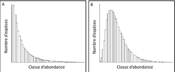 Figure 1.1. Distribution d’abondance des espèces (DAE). A- DAE suivant une distribution  logarithmique selon Fisher