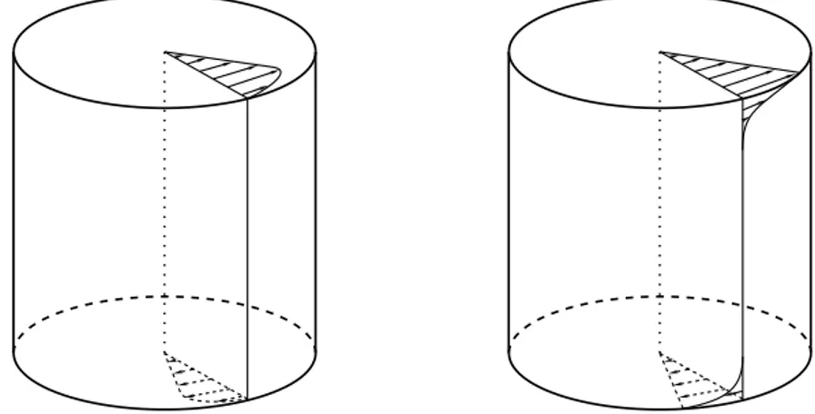 Figure 3: Les profils régularisés utilisés pour éliminer la discontinuité de vitesse dans les coins à r = 1, z = ± h