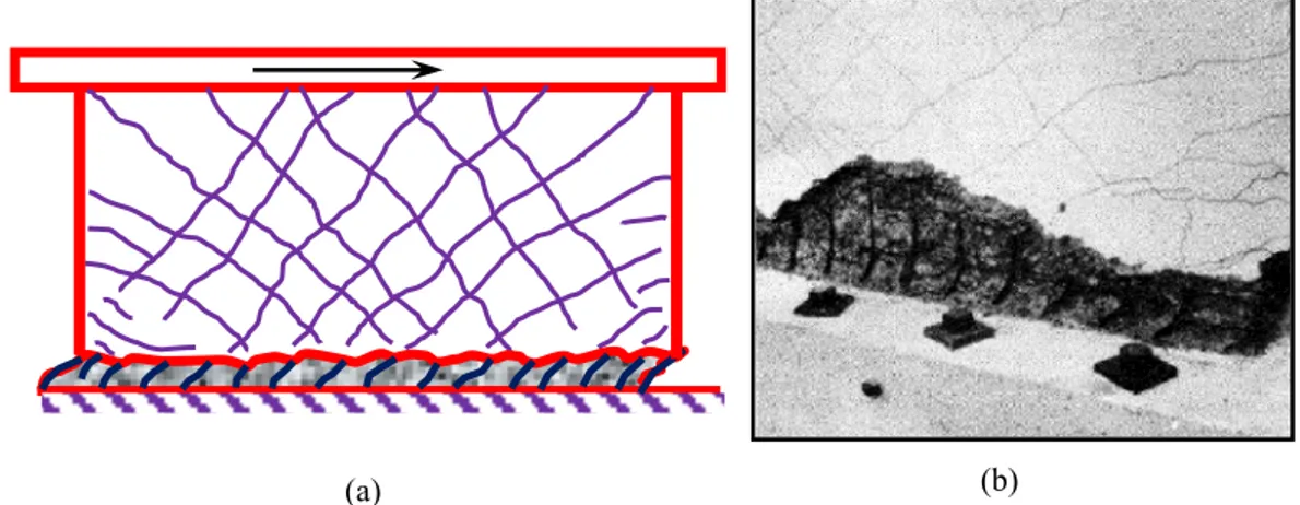 Figure 2.5 – Sliding shear failure; (a) schematic detail; (b) Photo (Paulay et al. 1982) 