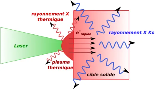 Figure 1.15: Les diﬀérents processus radiatifs survenant lors de l’interaction d’une impulsion laser brève avec une cible solide.