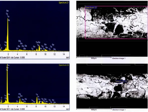 Figure 2-1  : Résultat des observations au MEB 