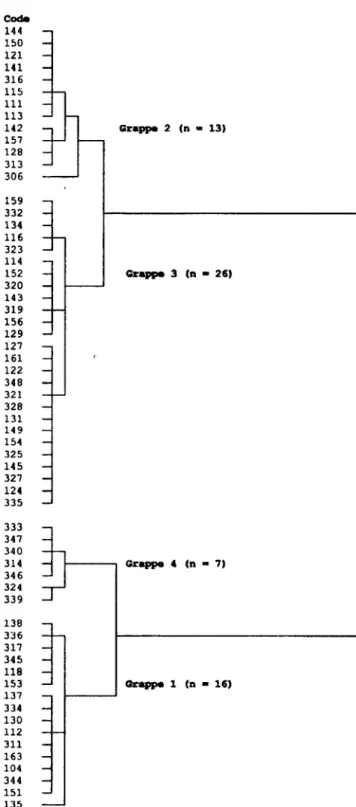 Figure  1.  Les  grappes  de  répondantes  issues 