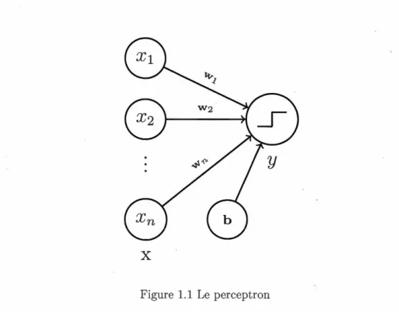 Figure  1.1  Le  perceptron 