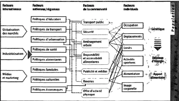 Figure 3. Toile causale des facteurs de l'environnement bâti influençant le poids  corporel