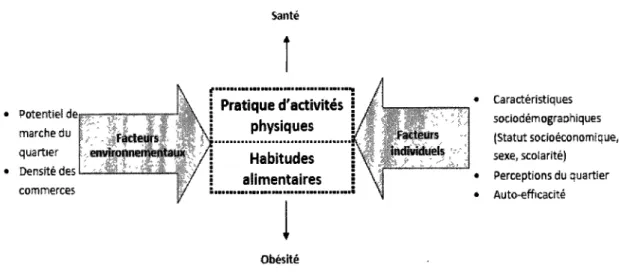 Figure 5. Déterminants potentiels de la santé chez les personnes âgées 