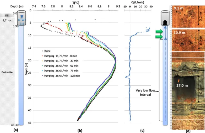 Figure 8. Wellbore #2 logging: (a) wellbore characteristics, (b) temperature profiles, (c) flowmeter profile, (d) televiewing