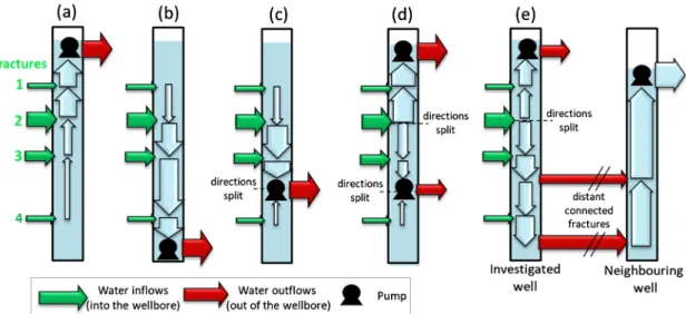 Figure 4. Different flowing systems resulting from various pump placement in the wellbore: (a) pump placed at  the top; (b) pump placed at the bottom; (c) pump placed at intermediate position; (d) several pump placed at  different depths; (e) pumping in we